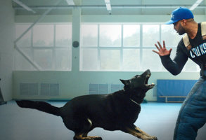 Canine Intervention image