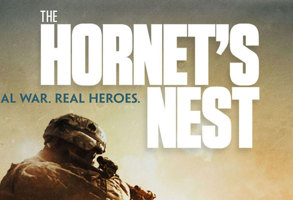 the hornet's nest