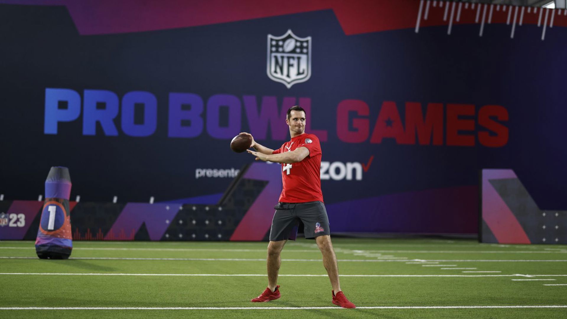NFL Pro Bowl image