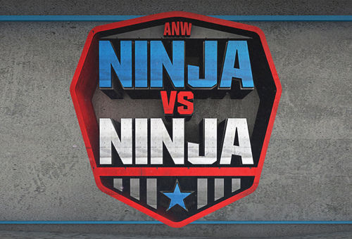 ninja vs ninja image