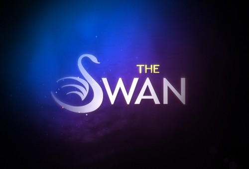 The swan image